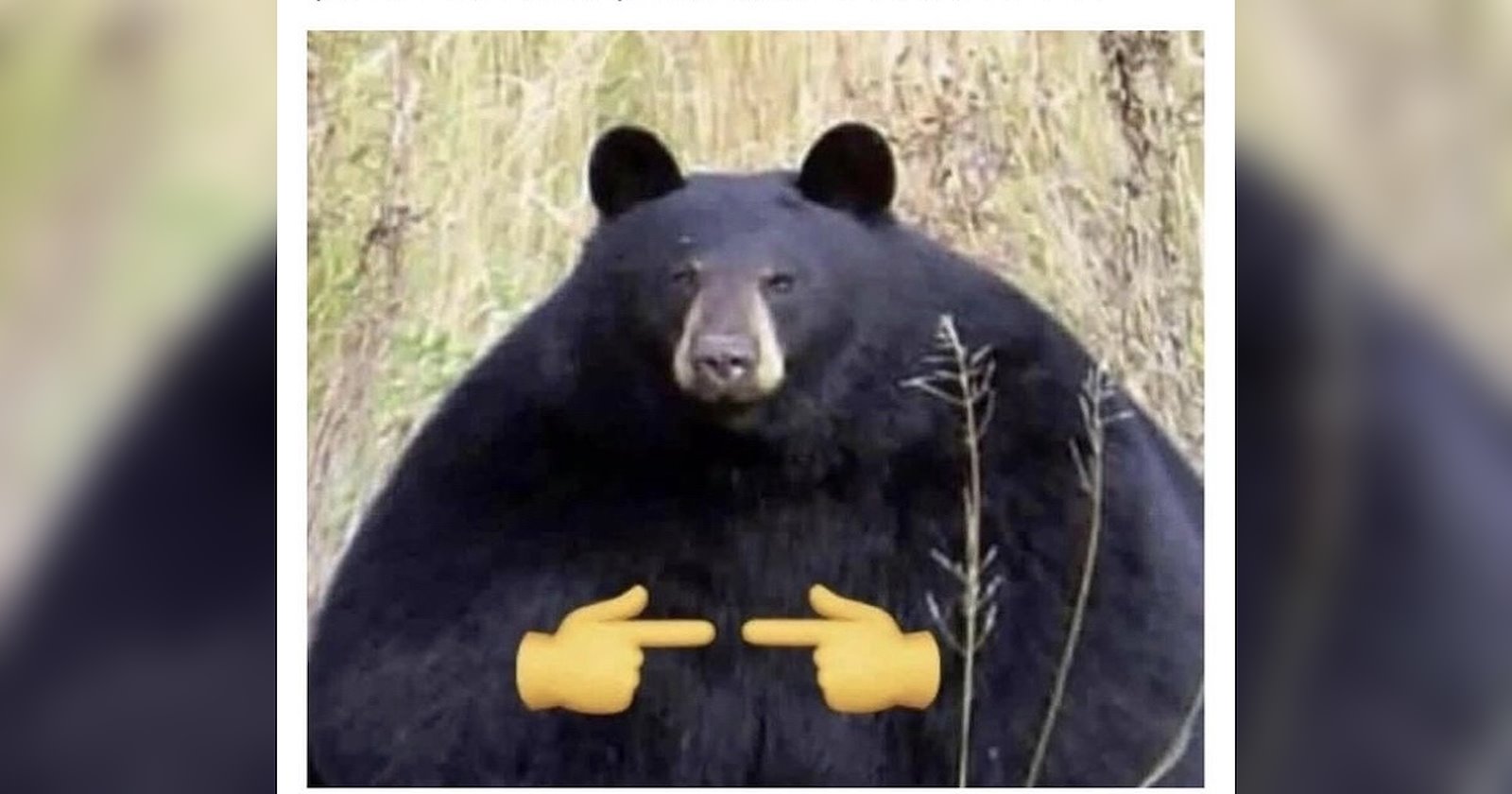 A Big Stretch of 30 Memes - Memebase - Funny Memes