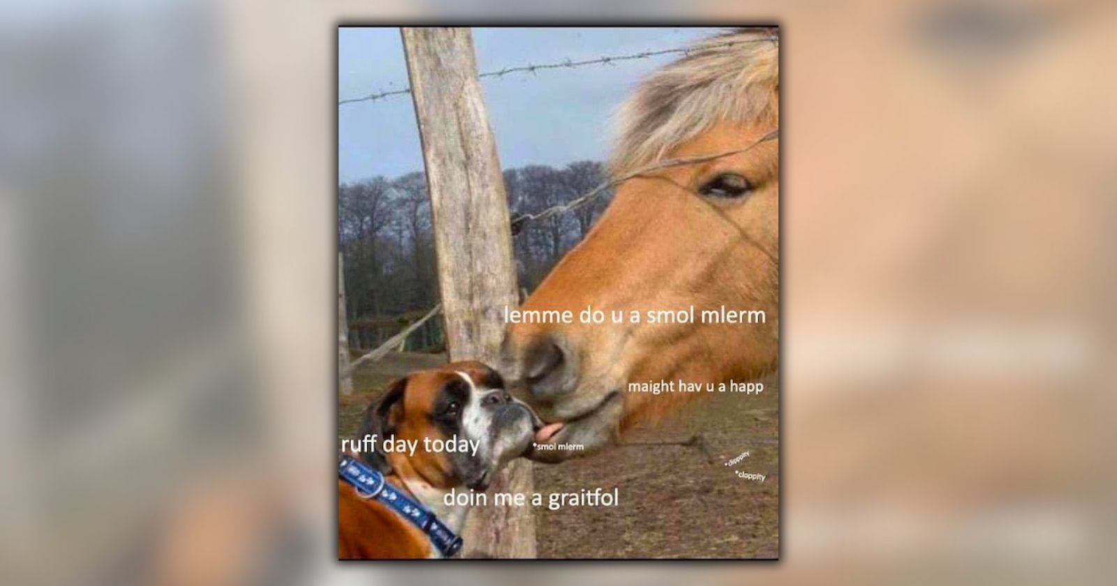 24 Domesticated Animal Memes That Will Definitely Make You Feel at Home ...