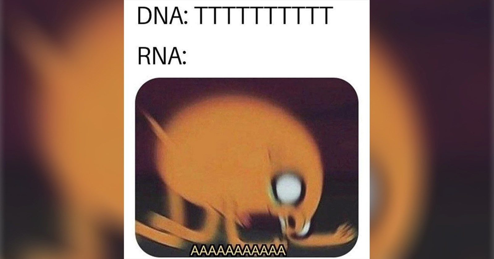 30-science-memes-for-stem-folks-with-huge-brains-memebase-funny-memes