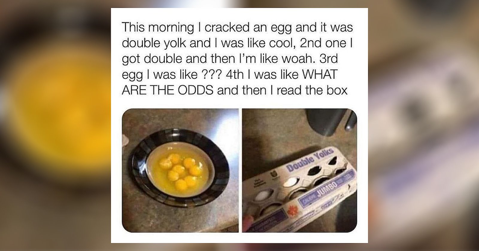 25+ Egg Memes Served Scrambled, Poached, or Sunny Side Up - Memebase ...