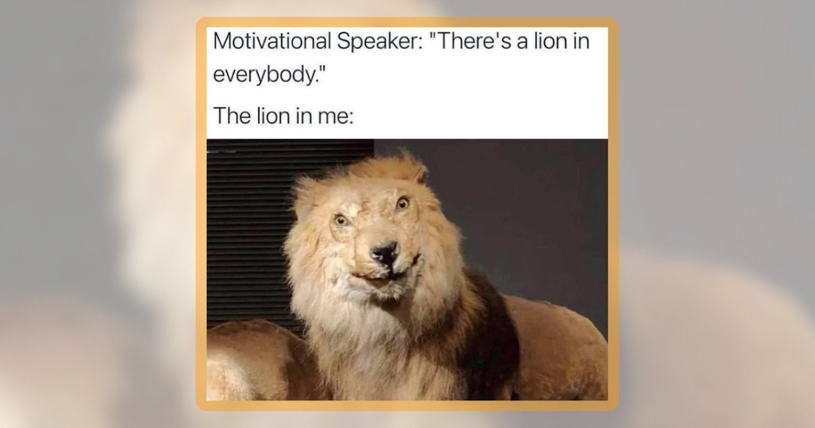 21 Big Cat Memes for People Who Need Roaring Meowtivation Today ...