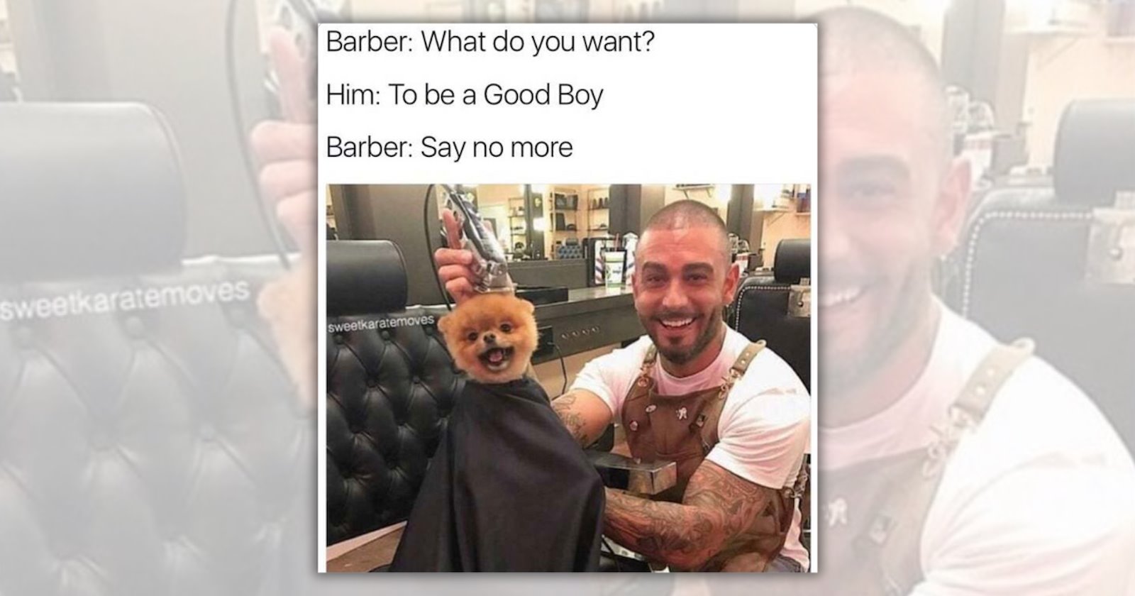 23 Wholesome Animal Memes to Uplift the Office Vibes Before the Weekend ...