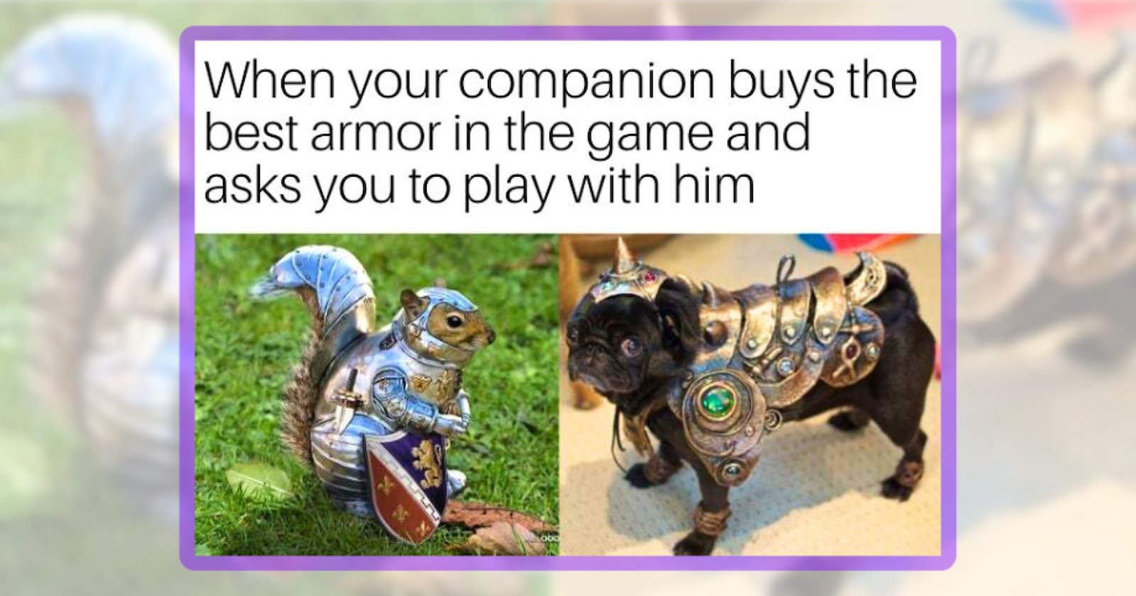 22 Gamer Animal Memes for Gamers Who’ve Accepted Their Pet as Both ...