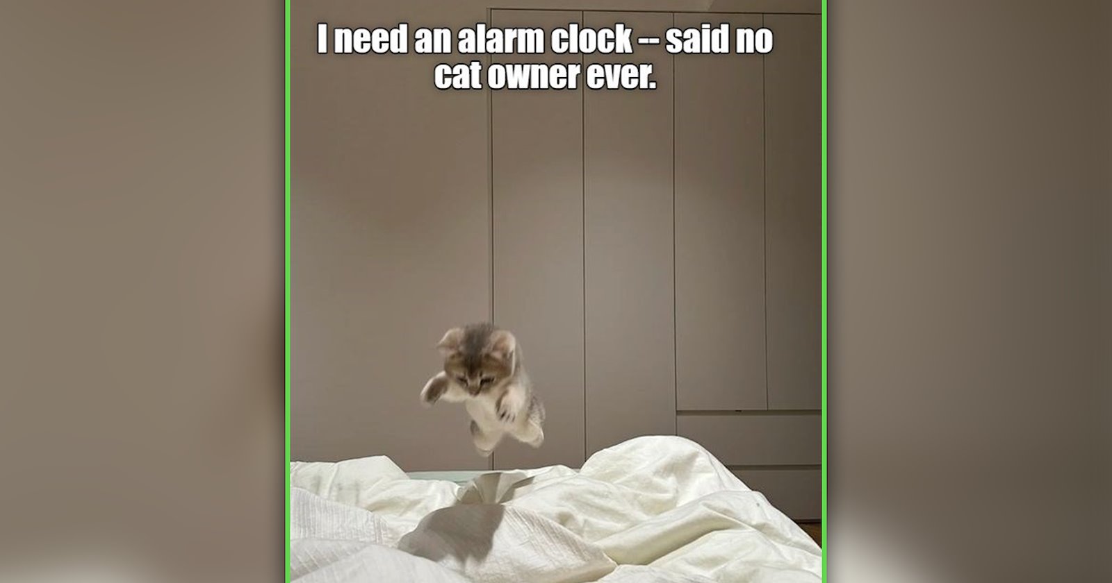 20 Funniest Lol-Worthy Cat Memes of the Week From Your 'I Can Has ...