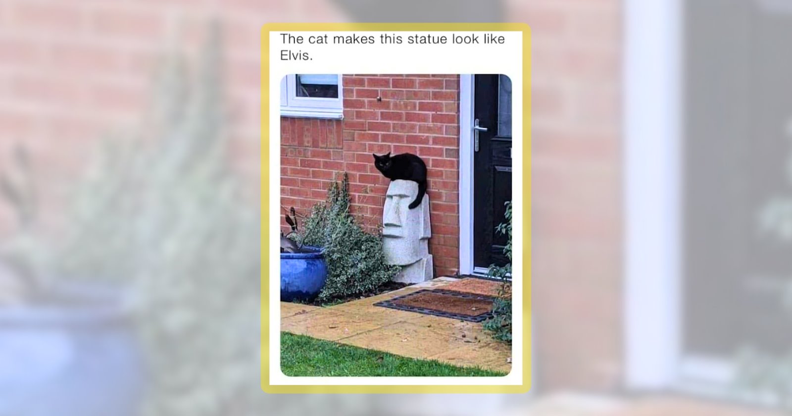 Caturday Best: 20+ Most Purrfect Weekly Cat Memes From the 'I Can Has ...