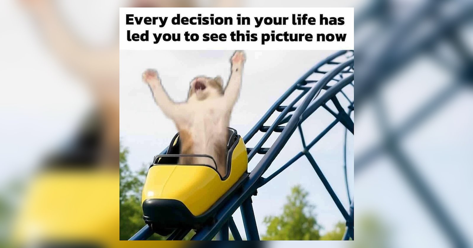 29 Memes and Posts With the Jitters - Memebase - Funny Memes