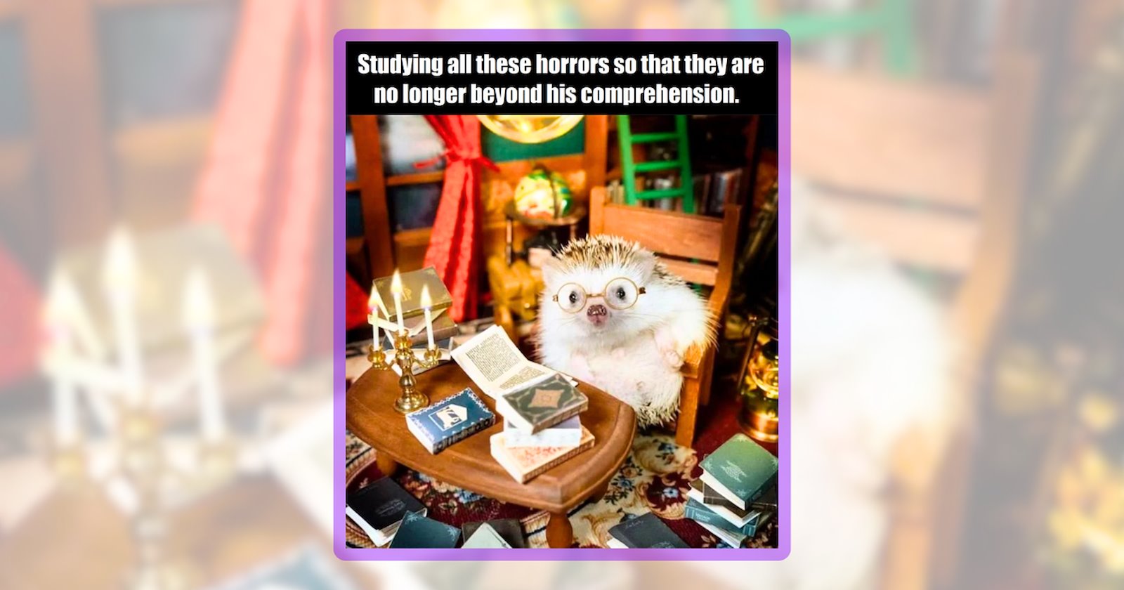 22 Assorted Animal Memes for People Finishing the Week on the Cute Side ...