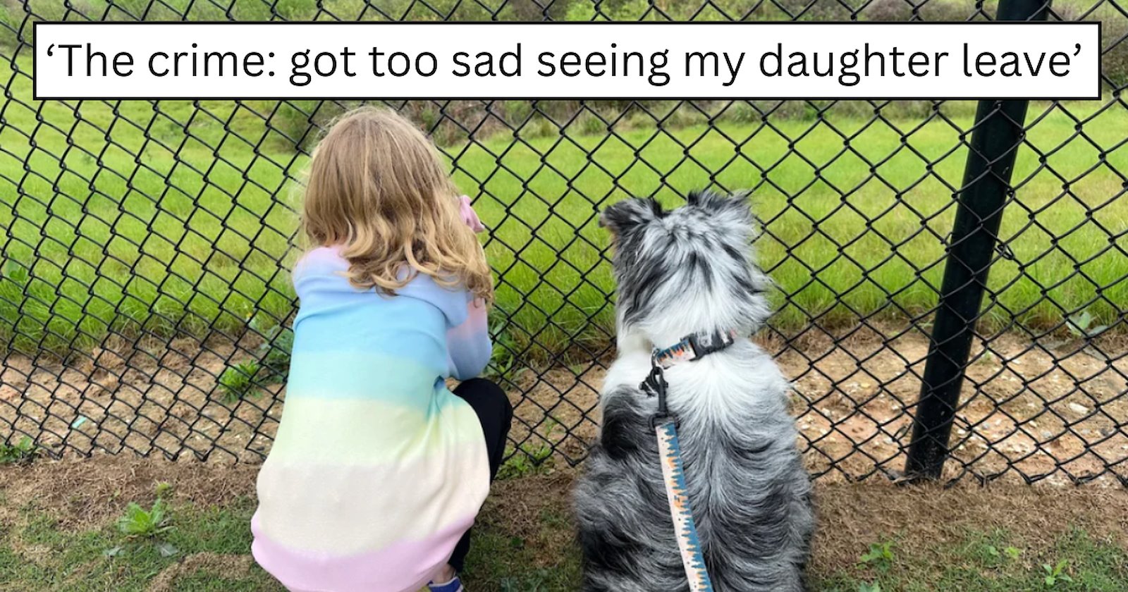 'She broke into my daughter’s school today': A dramatic pup stages an ...