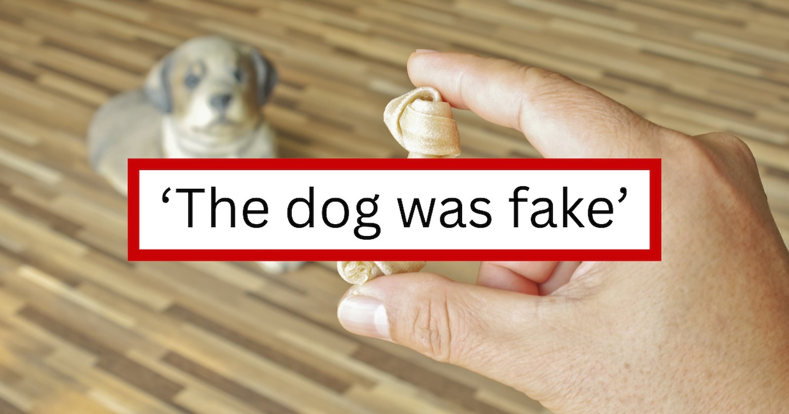 Employee lies about taking her sick dog to the vet to skip work, gets ...