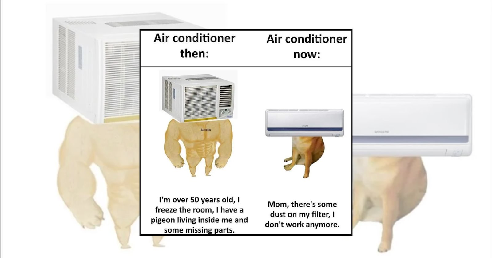 'Celebrating humanity's greatest invention': 21 Air Conditioning Memes ...