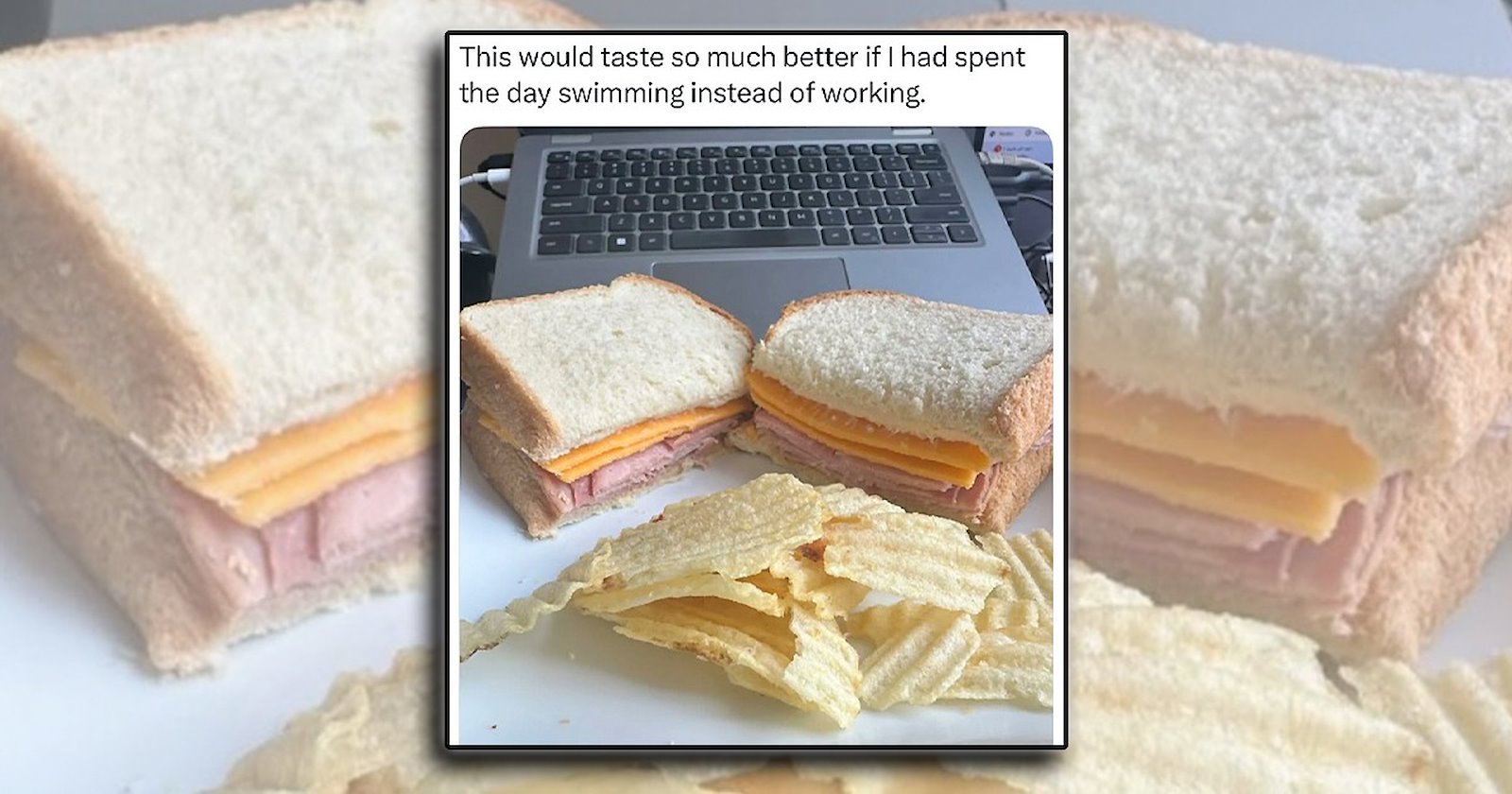 'Sorry, I'm on break': A brown bag of tasty lunch time memes to enjoy ...