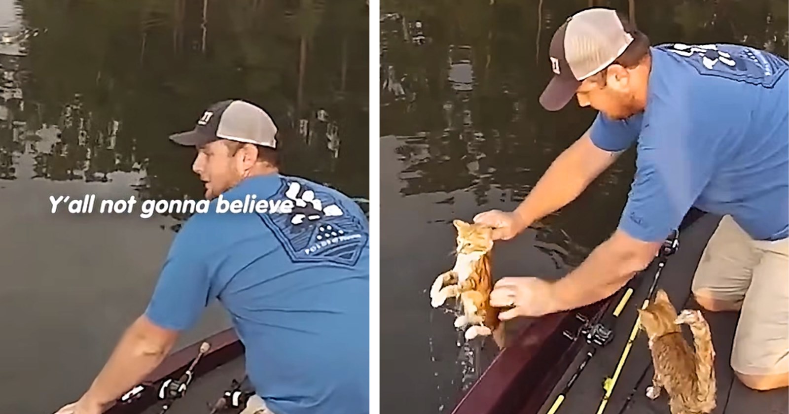 Fishermen pull a swimming kitten out of the water, still processing what just happened, when a second kitten leaps in the lake and starts paddling toward them to be saved