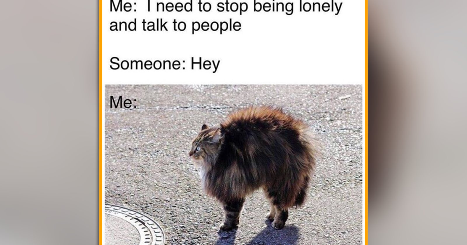 24 Cute Cat Memes to Cozy Up With This Silly Spooky Season