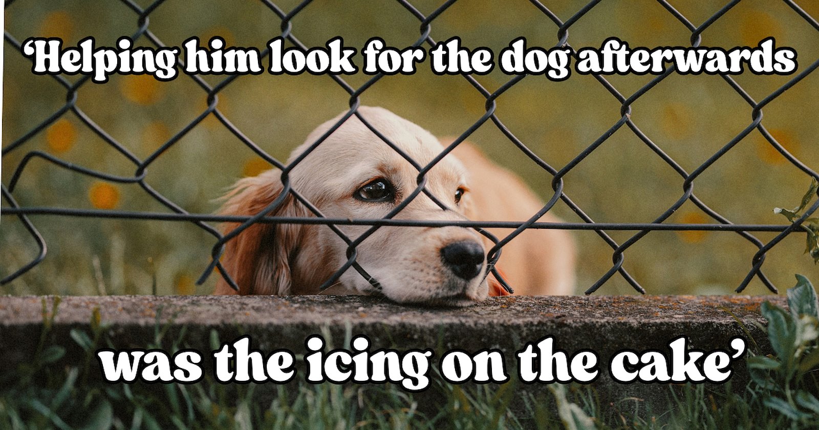 'I stole my neighbor's dog': Kindhearted man braves thunderstorm at 2 A.M. to rescue golden retriever from neglectful neighbor, then rehomes him 3 states away
