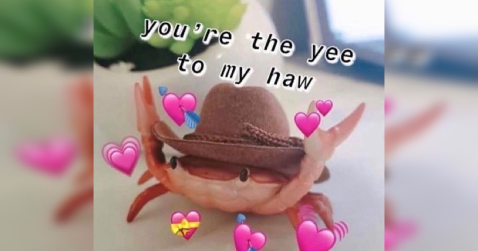 'Would you love me if I was a worm?': 20 Couples Memes
