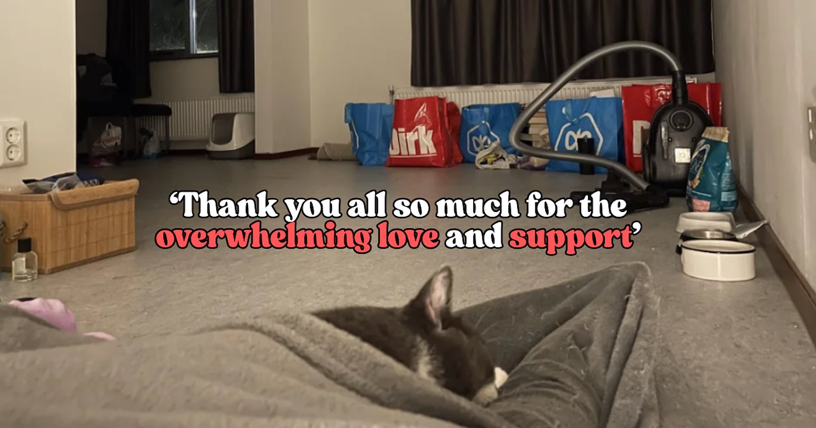‘He’s more than “just a cat” to me’: After 1.5 years of being homeless with their loyal cat, proud pawrent and feline share heartwarming photo of their first night home