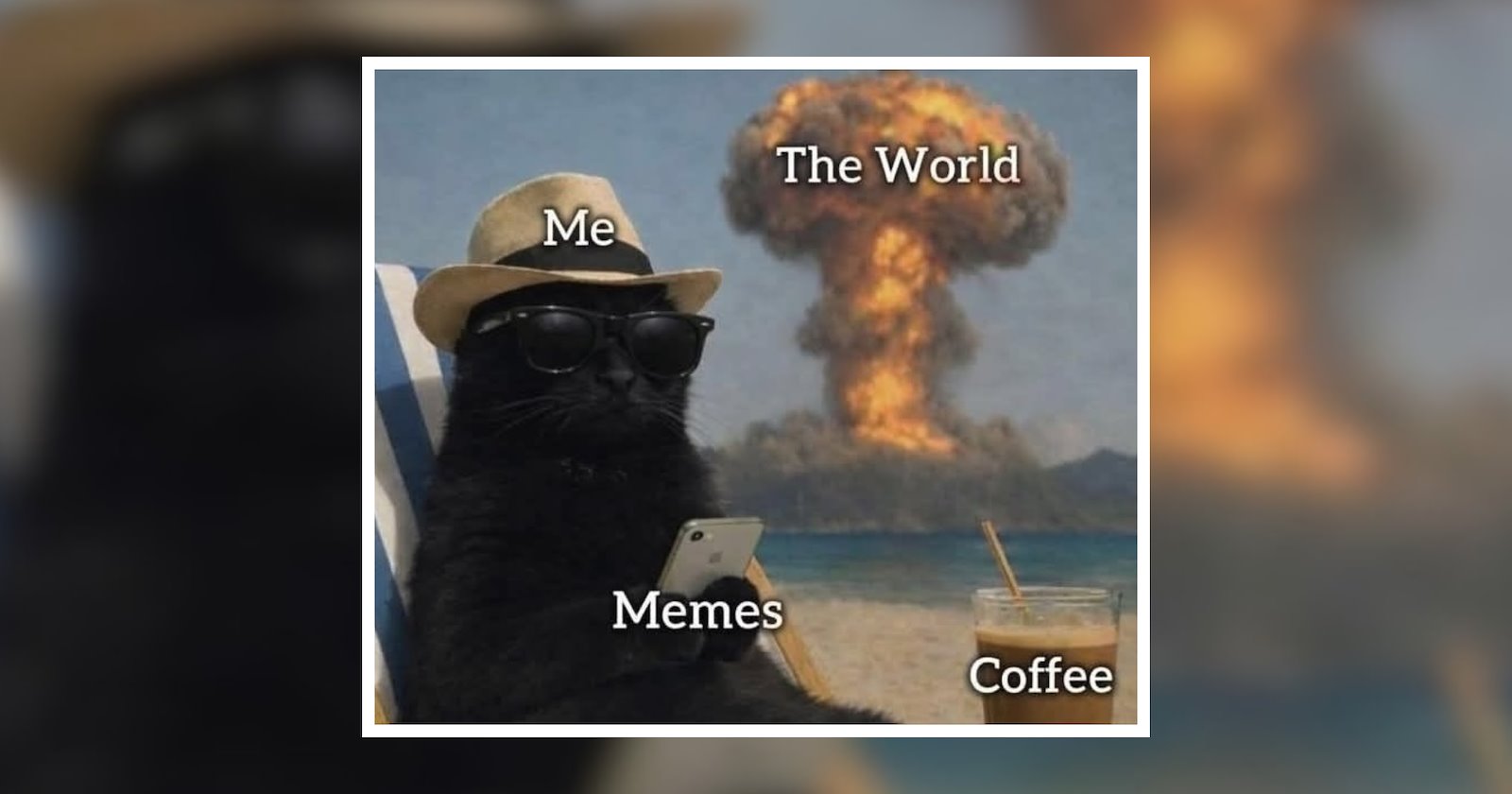 25 Cat Coffee Memes to Add a Comedic Cup of Laughter to Your Cozy Coffee Break