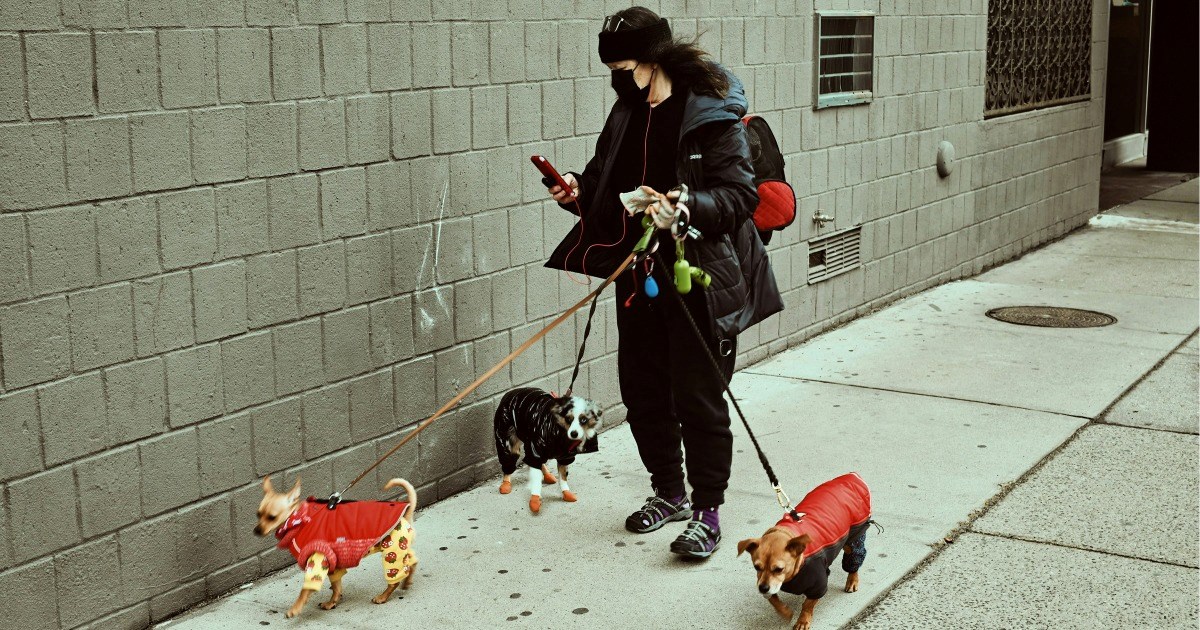 Friend ends dog-sitting early after learning dog owner was tracking her every move, constantly questioning her whereabouts: 'You're at your ex's place?'