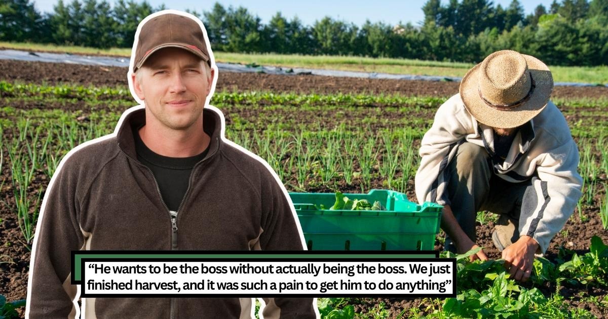 Farmer’s wife is fed up with hardworking husband carrying the farm's load, while his brother slacks off at home, she uses app to hack into his TV, repeatedly switching his movie channels as petty payback for avoiding work: 'I watched him look so confused'