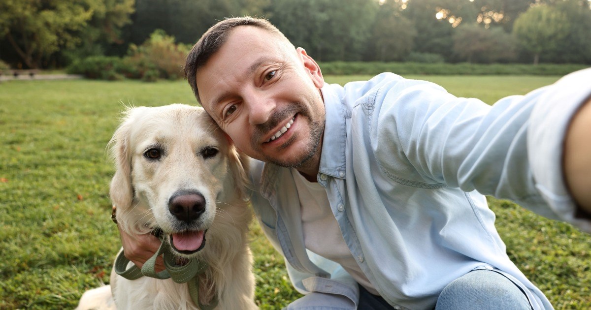 Ex-wife abandons golden retriever Isabella after years of shared custody, then flaunts a new puppy online, leaving Isabella waiting and her ex furious: ‘It’s been a year since my ex-wife has come to see Isabella’