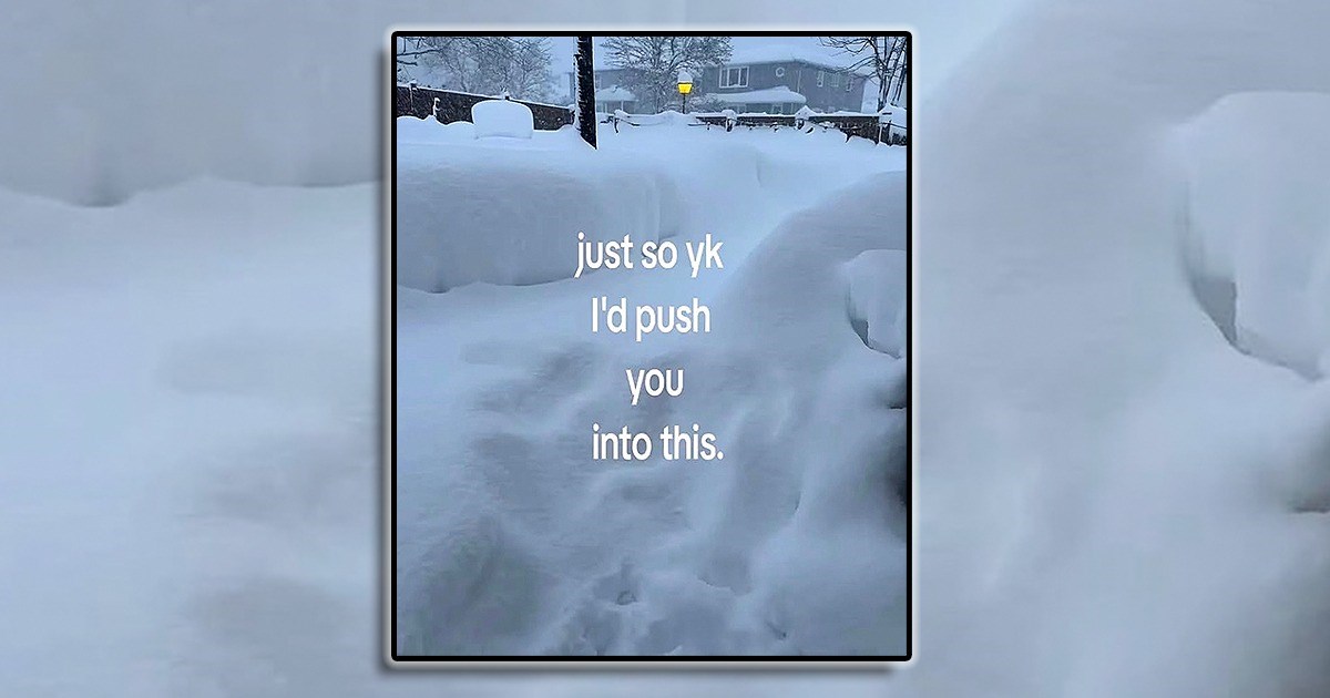 It's Important to Laugh and Play in the Snow Even as an Adult: Snow Day Memes