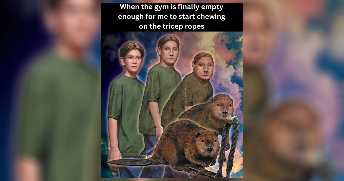 'After the gym, waiting for them GAINS': 27 Gym memes for starting off 2026 strong