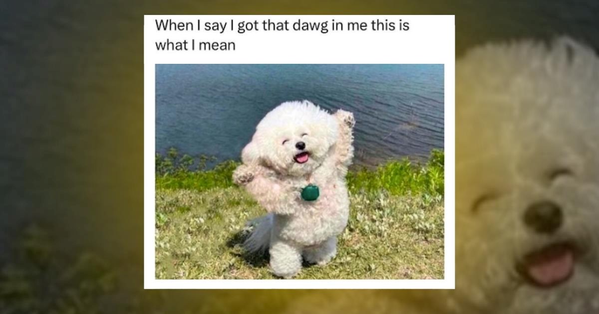 28 Lighthearted Memes to Lift Your Mood to New Heights