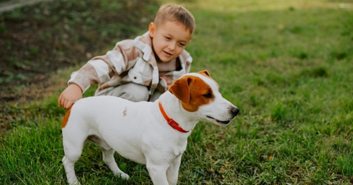 Single mom pulls weird stunt asking if her kids can play with neighbor's dog, then asks to be paid for dog walking, neighbor refuses: ‘I was confused at this point...’