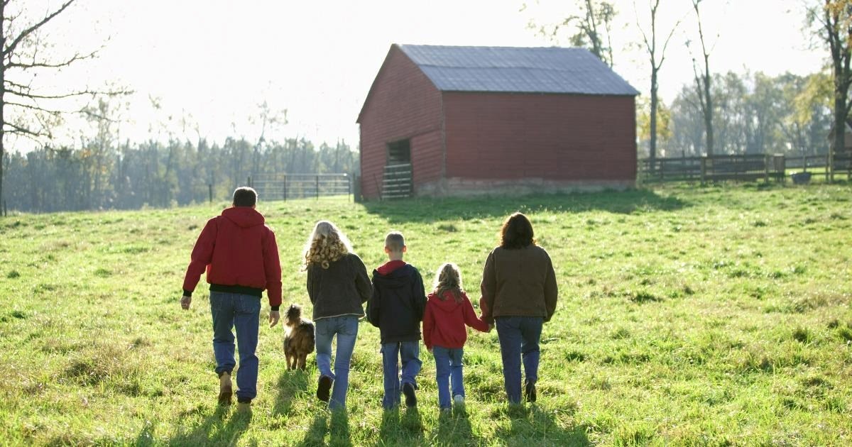 Parents leave their farm to grandchildren instead of daughter after her husband declares his plans to sell it, ignoring their wishes to keep it in the family: 'How dare you?'
