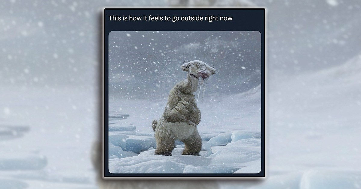 A Snowball Full of Funny Memes to Survive This Freezing Cold Winter Weather