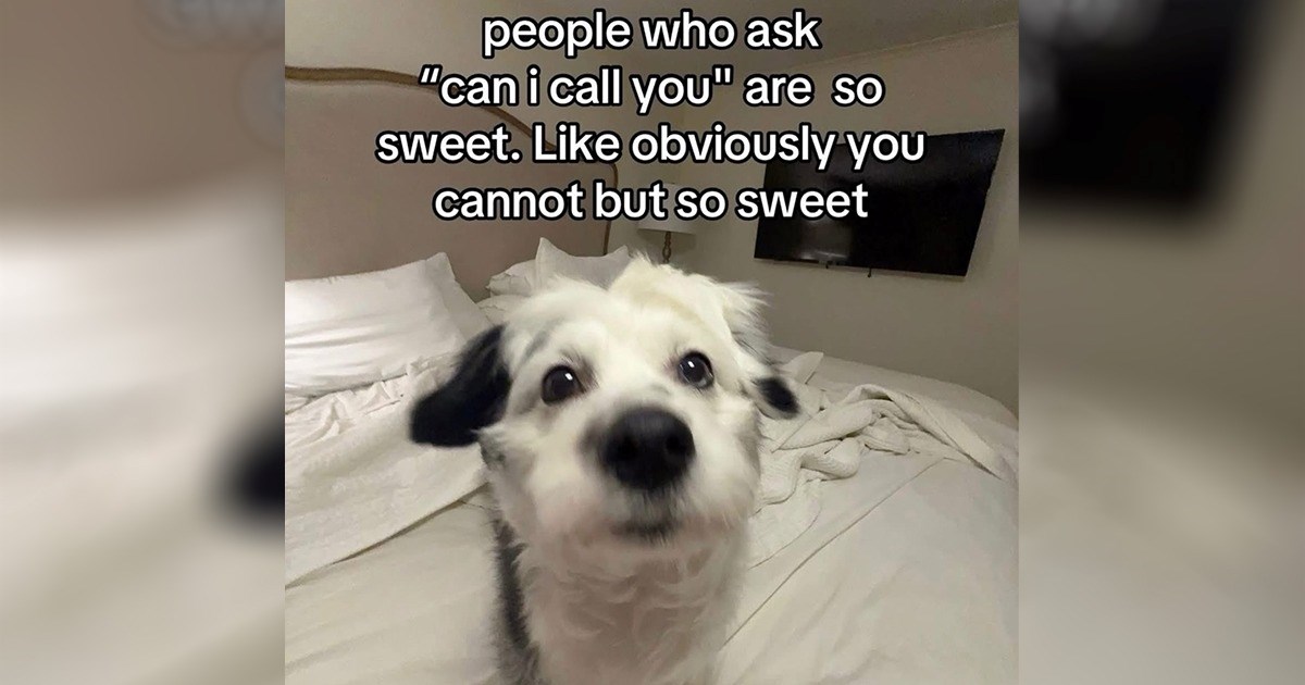 'I replaced my roommates soap with cheese': 28 Memes taking a walk around the block