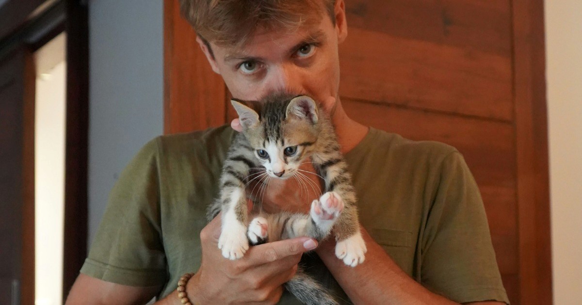 Boyfriend surprises girlfriend with kitten after she told him not to, he tries to guilt her into keeping the animal: ‘He kept calling me cold’