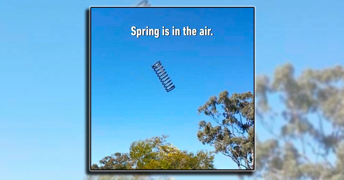 21 Fool's Spring Memes for Anyone Who Already Packed Up Their Winter Coat