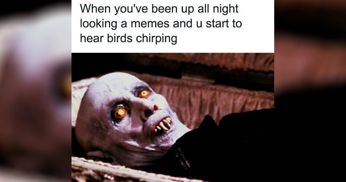 'We are living in increasingly Un-Fergalicious times': 32 Memes here to make your day a little better