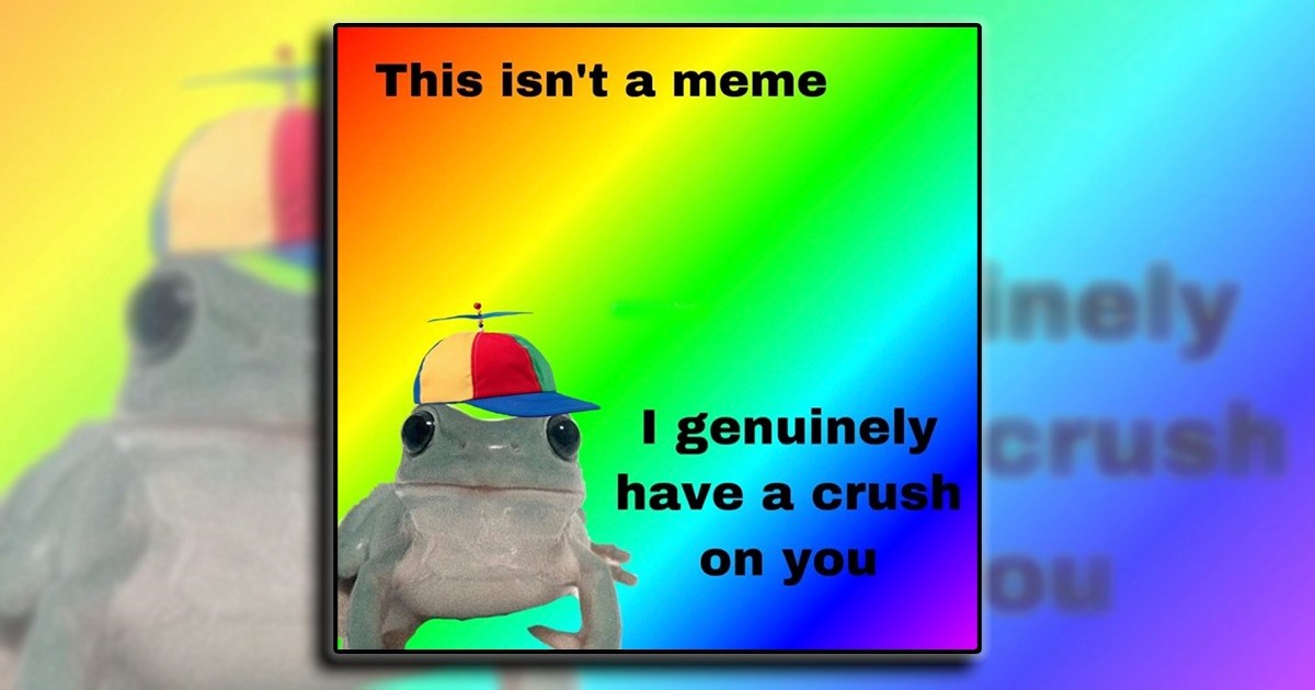 23 Memes for Your Crush That Are More Than Just Memes, They Are Declarations of Love