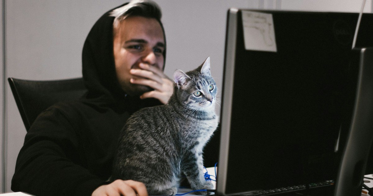 Remote job asks employee for a full video of their workspace so a third party vendor can do a 'safety assessment': 'Your employer wants supervised access to your home'
