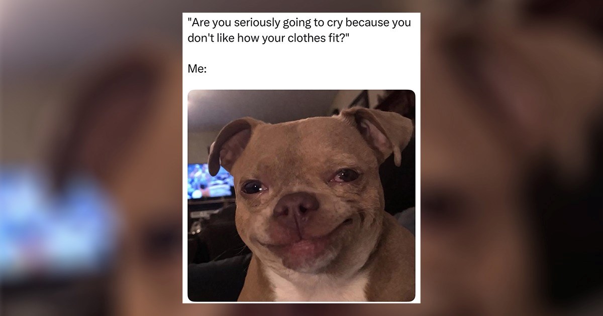 24 of the Freshest and Funniest Memes of the Week
