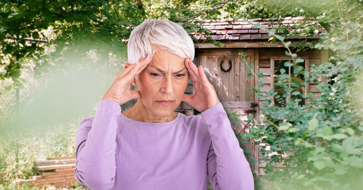 60-year-old homebuyer blindsided by previous owner, who demands access to the backyard shed: 'These sheds can go for thousands of dollars'