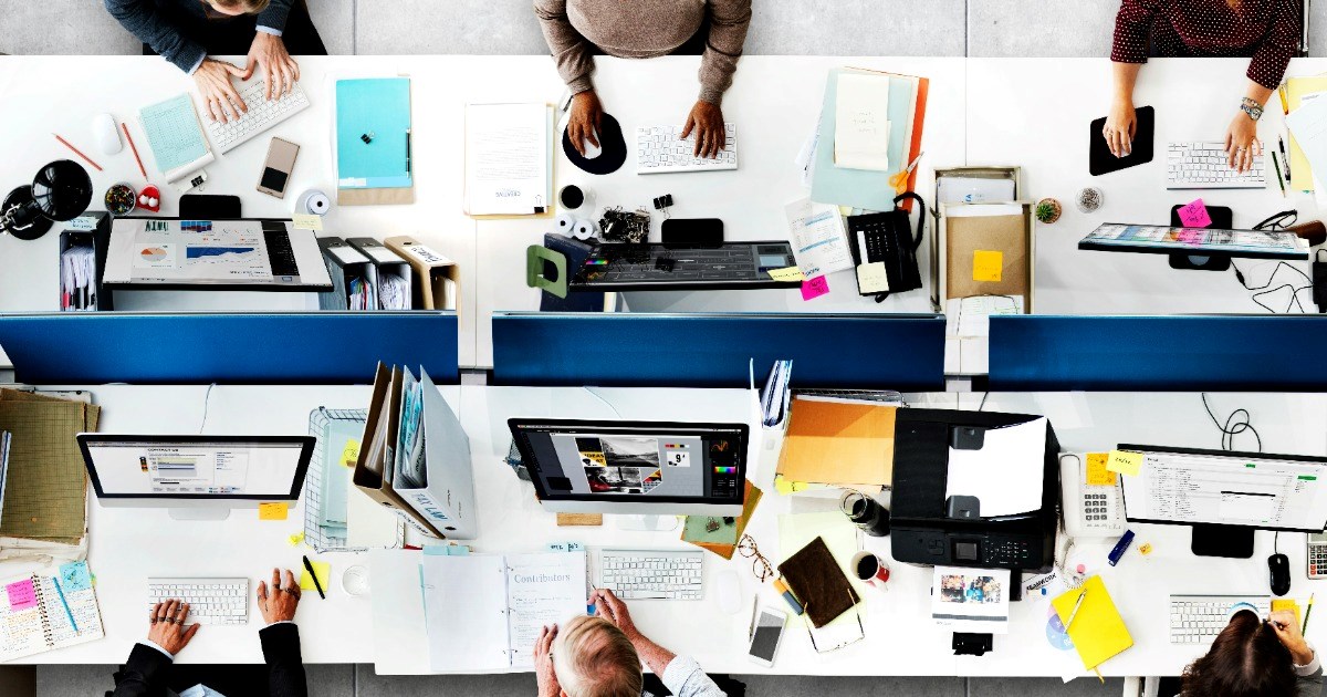 Employee questions if their cubicle decorations are "too much": 'Bro moved in'