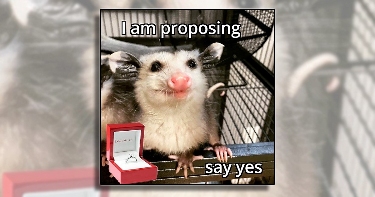 Propose to Your Loved One with these 25 Engagement Memes That Will Have Them Saying 'Yes' to the LOL