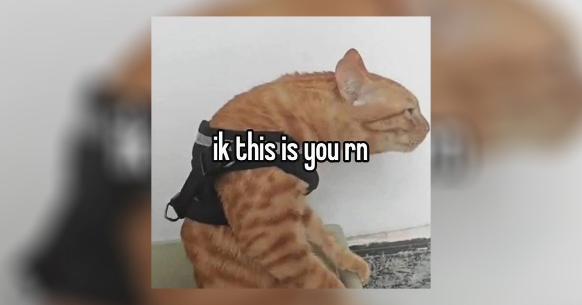 25 Memes Fighting the Good Fight