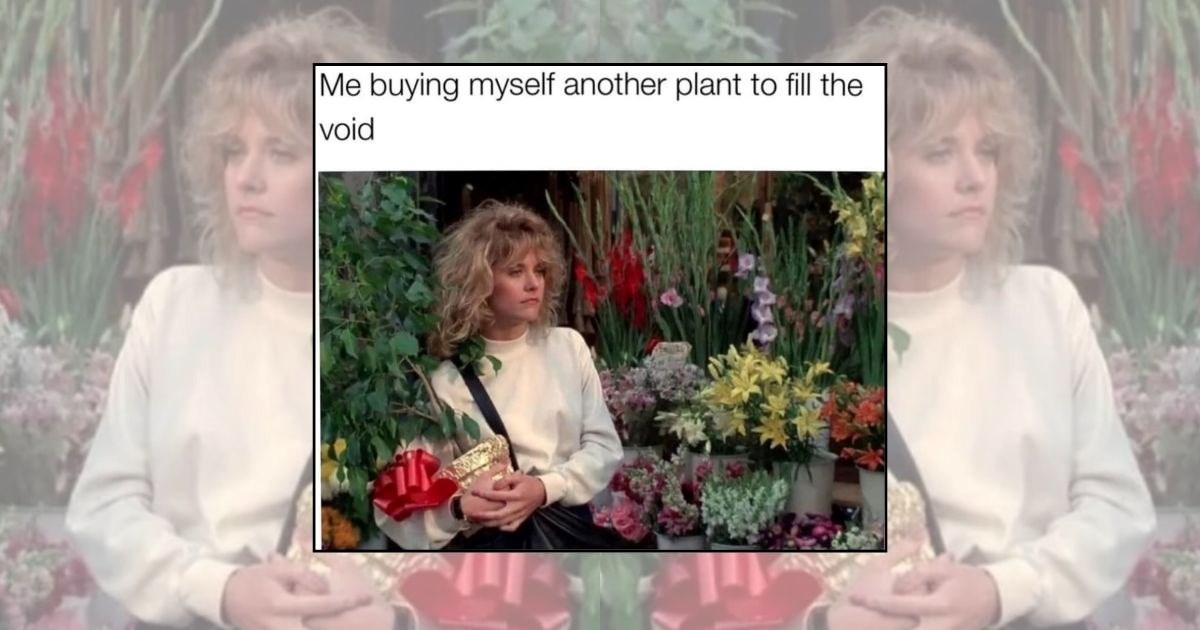 23 Peaceful Plant Lover Memes for Proud Plant Parents Practicing Proper Plant Pampering