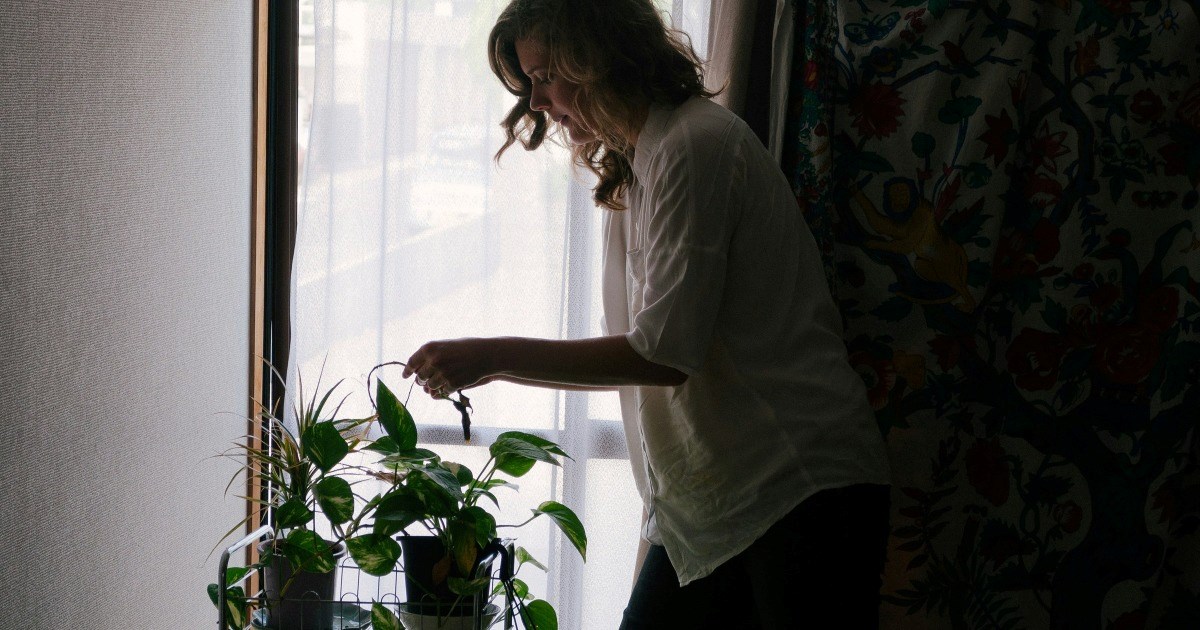 Landlord invents 'biology fee,' charges tenant $5/month per houseplant: 'This building is already a crumbling mess'