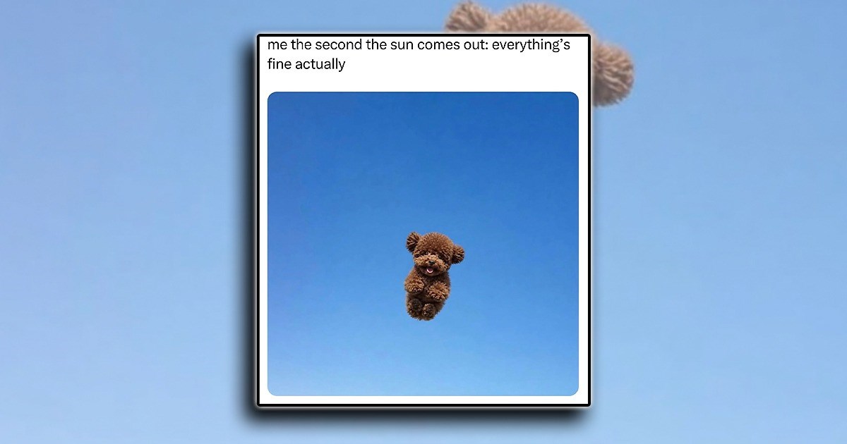 happiness-is-a-warm-puppy-animal-laughs-and-joys-for-a-happy-brain