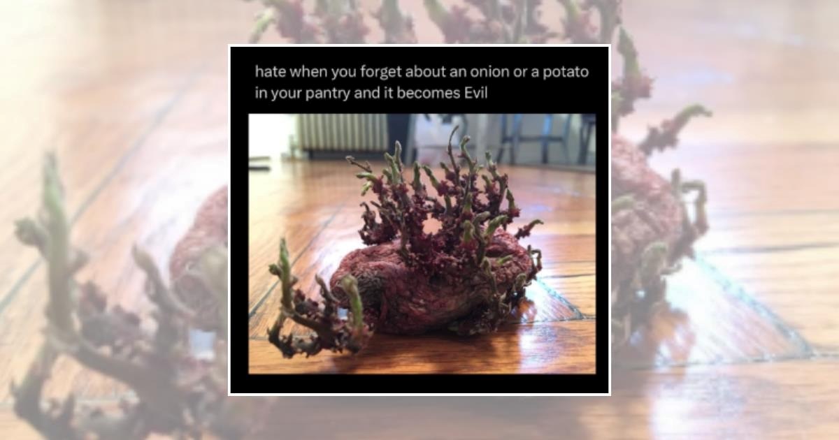 21 Cooking Fails for Optimistic Home Chefs Learning to Trust the Process (July 1st, 2026)