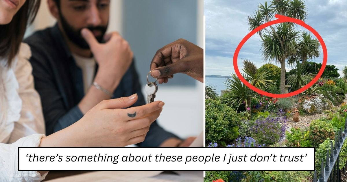 Rhode Island homeowner discovers neighbor has been secretly clearing trees on their property for years to improve the view, then gets confronted after placing tree stumps there: 'They had the audacity to say something'