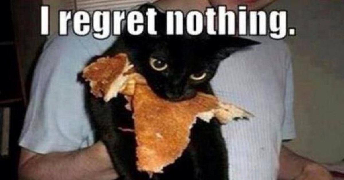 https://i.chzbgr.com/thumb1200/9380381696/hEBE5BD75/funny-cat-memes-9380381696