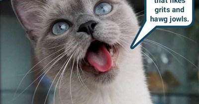 He's got a mean slider