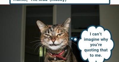 Just because I look like a used car salesman