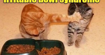 Symptoms include hunger and facial pain.